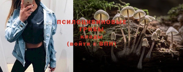 ешки Шали