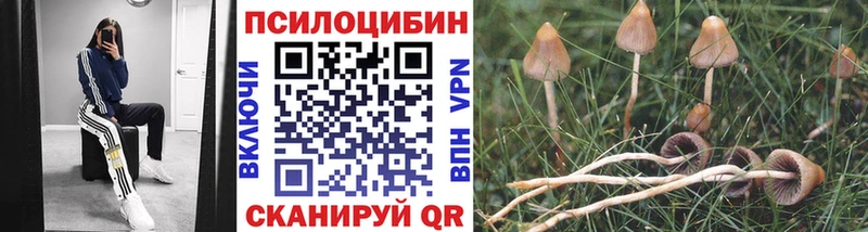 Псилоцибиновые грибы мухоморы  Альметьевск 